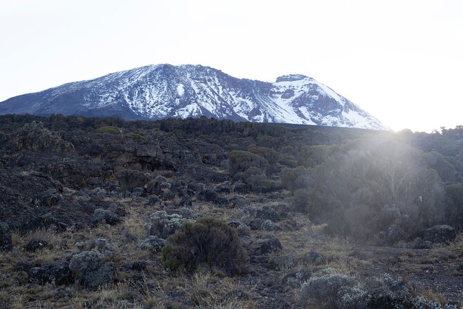 7 Days Kilimanjaro Climbing | Hiking Tour via the Lemosho Route - Day 2 into the Shira camps: jungle to savannah, with Kibo views