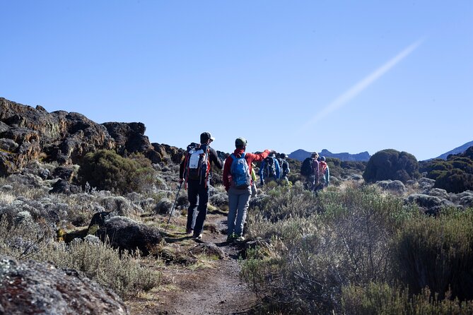 7 Days Kilimanjaro Climbing | Hiking Tour via the Lemosho Route - Day 4 through the Barranco wall to Karanga Valley: longer and tiring, but doable