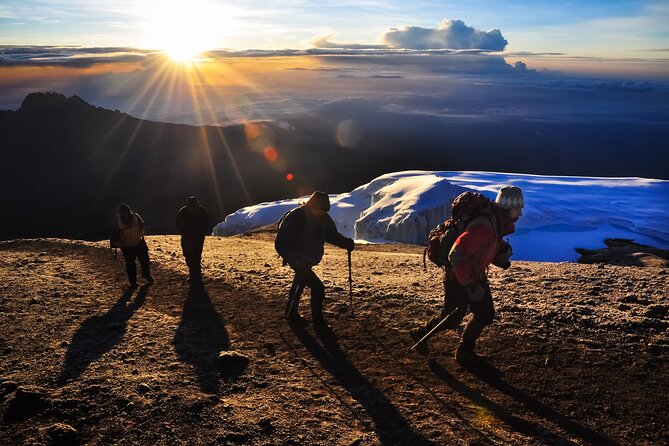7 Days Kilimanjaro trek via Machame route - Key Highlights You Should Know Before You Go