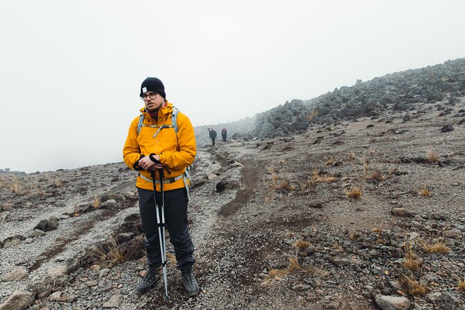 7 Days Kilimanjaro trek via Machame route - Day 2: Kibo and Mawenzi Views, Shira Plateau, and High-Altitude Plants