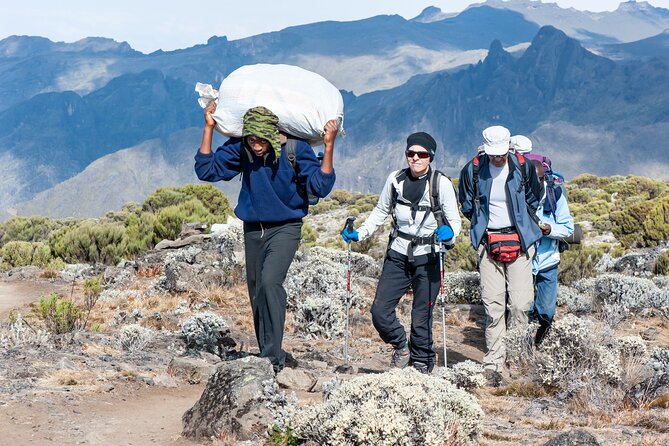 7 Days Kilimanjaro trek via Machame route - Day 3: Acclimatization Through the Shira Plateau Junction, Then Down to Barranco