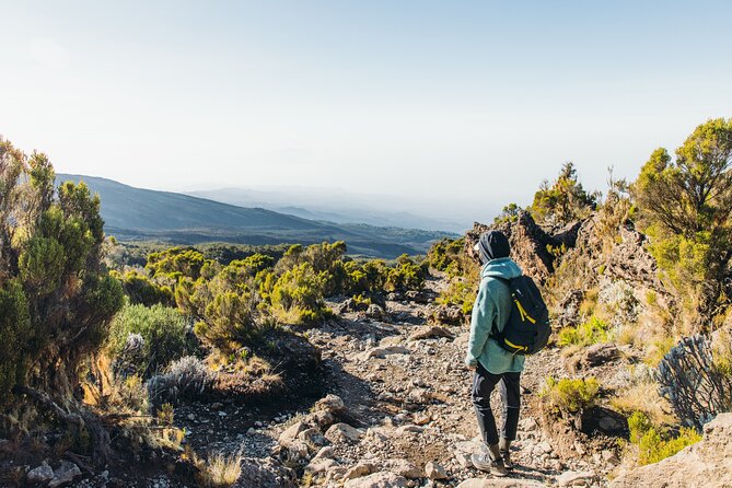 7 Days Kilimanjaro trek via Machame route - Day 6: Midnight Summit to Uhuru Peak, Stella Point, and the Descent to Mweka