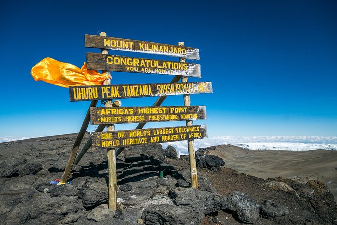 7 Days Kilimanjaro trek via Machame route - Day 1: Machame Gate, Cloud Forest, and the First Night on the Mountain