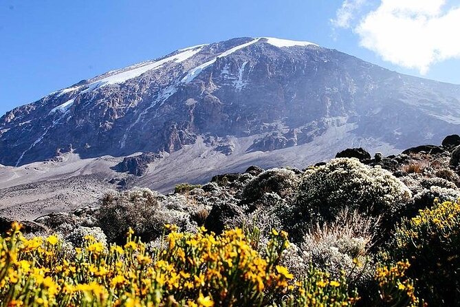 7 Days Kilimanjaro Trekking Machame Route - Day 5: A shorter, easier day into Barafu for summit prep