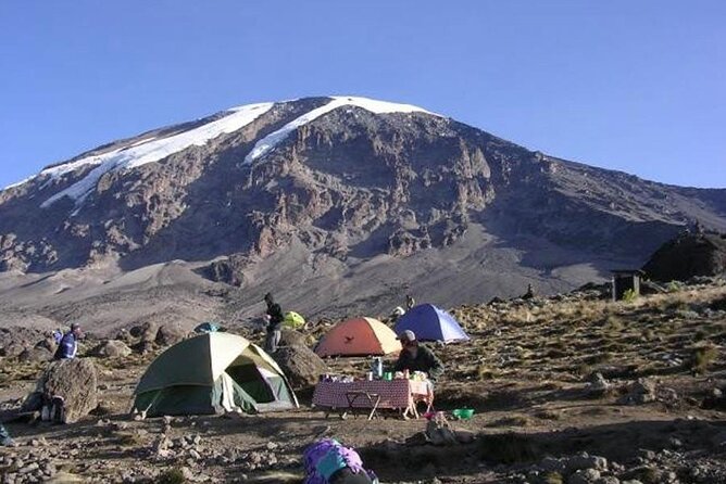 7 Days Kilimanjaro Trekking Machame Route with Professional Guide - Day 4: Lava Tower Panoramas, then Barranco Valley Shelter