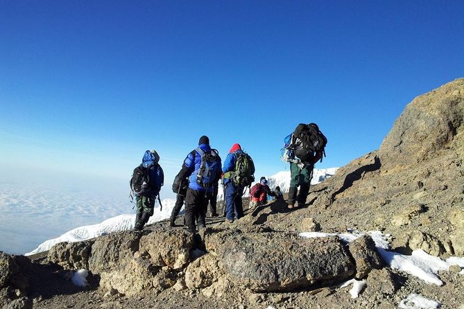 7 Days Kilimanjaro Trekking Machame Route with Professional Guide - Day 1 in Arusha: Arrive, Meet Your Team, Get Sorted