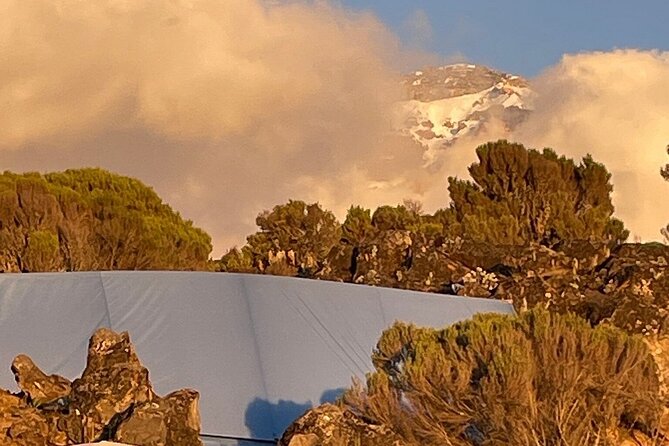 7 Days Kilimanjaro Trekking Machame Route - Day 2: Shira Plateau, rocky ridges, and the jump toward Shira camps
