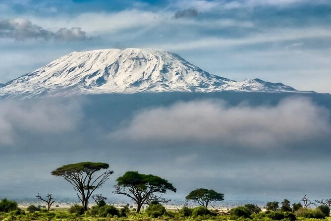7 Days Kilimanjaro via Machame route affordable price - Moshi to Kilimanjaro National Park: smoother than it sounds