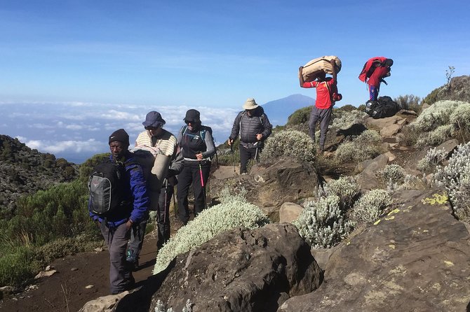 7 days Lemosho route - Price and value for a private climb up to 2