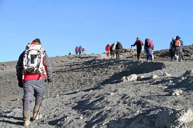 7 days Lemosho route - Days 3 and 4: from Shira 2 to Lava Tower, cold camps included