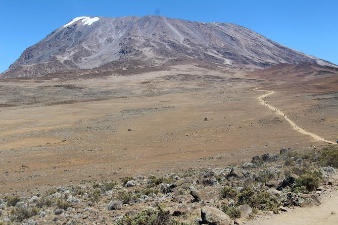 7 days Lemosho route - Day 6: Barafu ridge, timing matters and water is limited