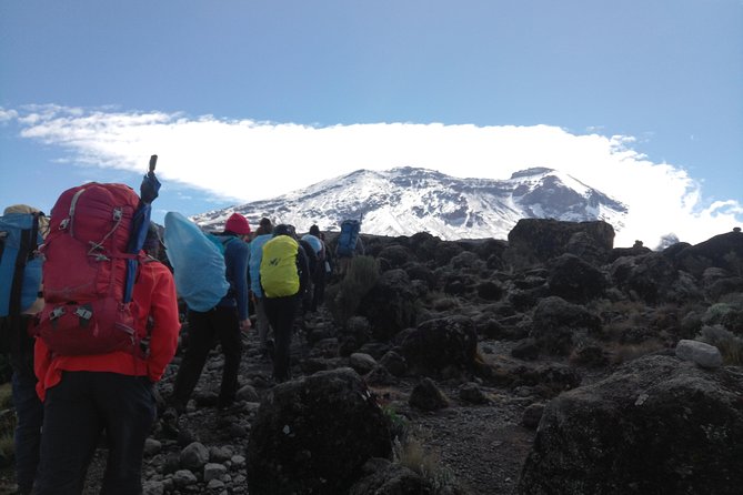 7 days Lemosho route Climbing Mt.Kilimanjaro - Day 5: Barranco to Barafu, completing the South Circuit