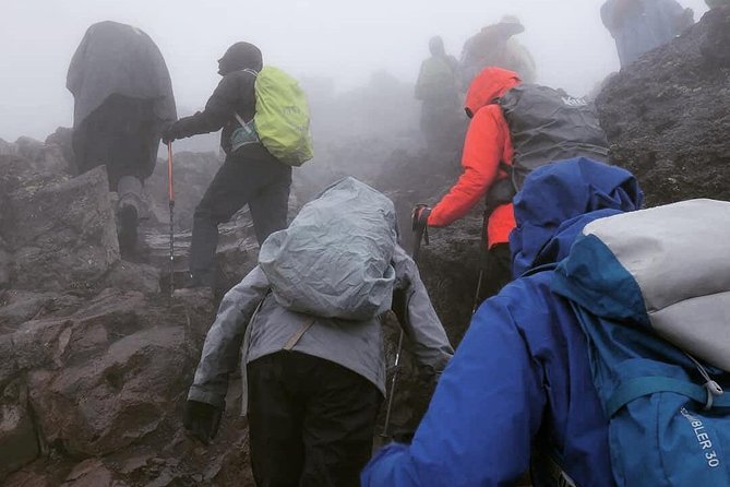7 days Lemosho route Climbing Mt.Kilimanjaro - Day 1: Moshi to Londorossi Gate, then the forest start