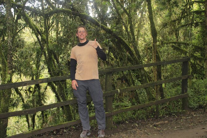 7 Days Machame Route Kilimanjaro Hiking | Climbing Tour - Day 6: 11:30 PM start, Stella Point sunrise, and the summit toward Uhuru Peak