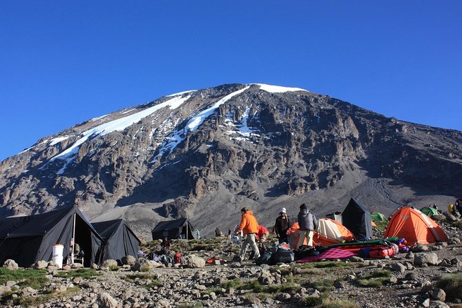 7 Days Machame Route Kilimanjaro Trekking - Key highlights to expect on the Machame 7-day trek