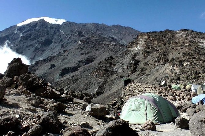 7 Days Machame Route Kilimanjaro Trekking - Arusha pickup and Day 1: rainforest trekking from Machame Village