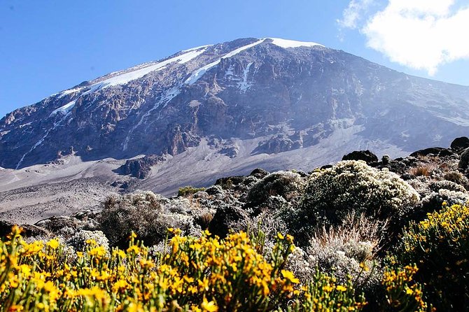7 Days Machame Route Trek Mount Kilimanjaro - Kilimanjaro’s Machame Route: a tough week with real variety