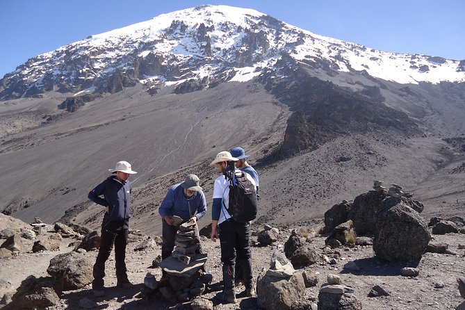 7 Days Mountain Kilimanjaro climb Machame Route - Machame Hut to Shira Camp: Day 3, more height, still manageable