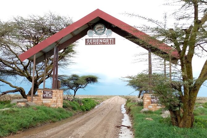 7 days Mt Kilimanjaro,Tarangire NP, Ngorongoro, Serengeti NP, Lake Manyara NP - Day 2: Tarangire National Park for Elephants and More