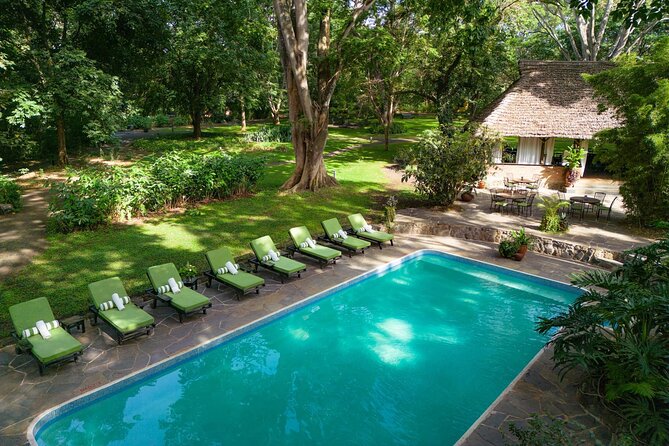 7-Days Private Midrange Safari; Serengeti & Ngorongoro Crater - Serengeti Again, With a Quiet-Morning Advantage