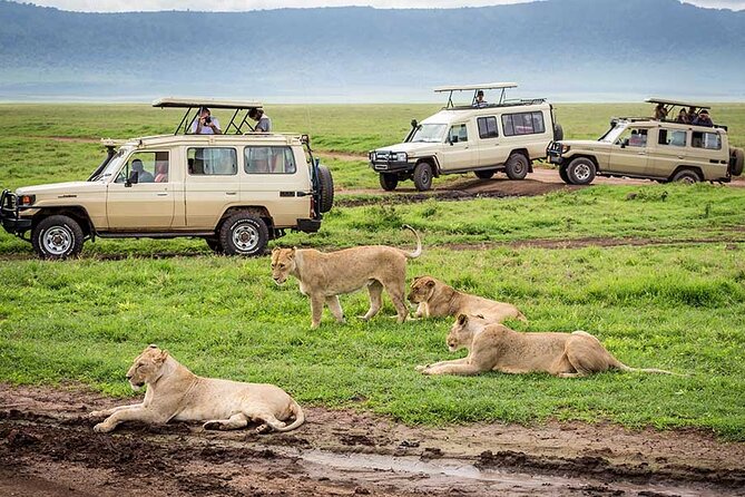 7-Days Private Midrange Safari; Serengeti & Ngorongoro Crater - The Crater Day You Plan Around: Descend at 6:30 to 7:00