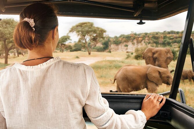7-Days Private Midrange Safari; Serengeti & Ngorongoro Crater - Camping Rhythm and Food: When Chef Mike Steals the Show