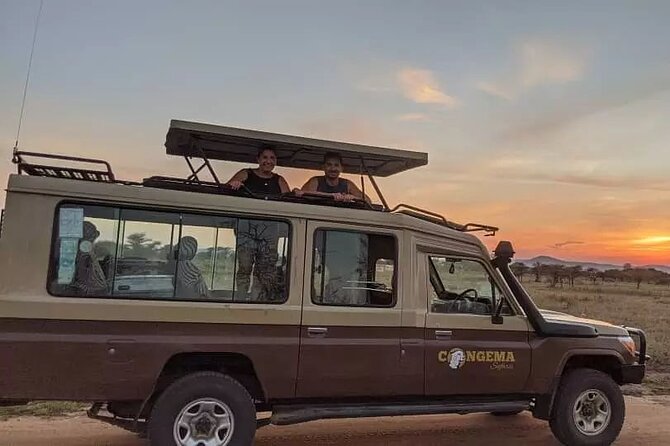 7 Days Private Safari in Tanzania - Serengeti: “endless plain” energy and the big cat search