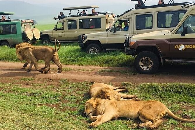7 Days Private Safari in Tanzania - Food, water, and the “full board” value you feel on day three