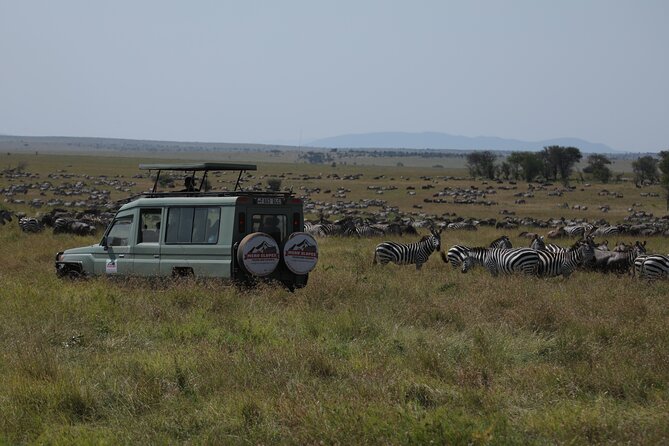 7 Days Private Serengeti Wildebeest Migration Tour - Key highlights worth your attention