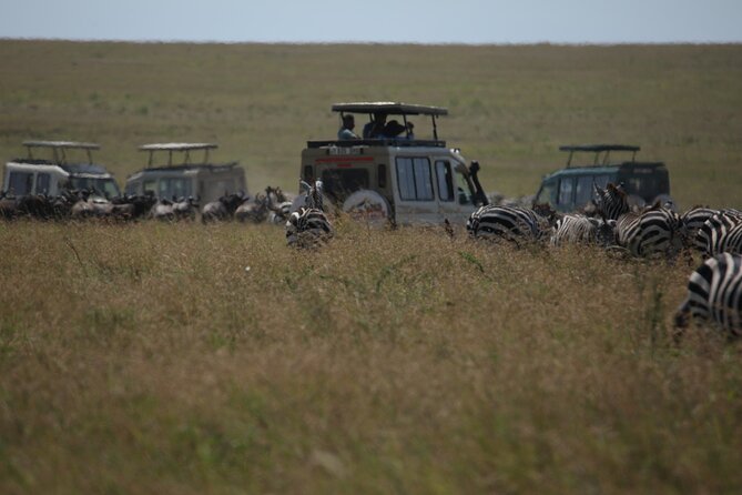 7 Days Private Serengeti Wildebeest Migration Tour - Day 1 in Arusha: Serena comfort and optional stretching legs