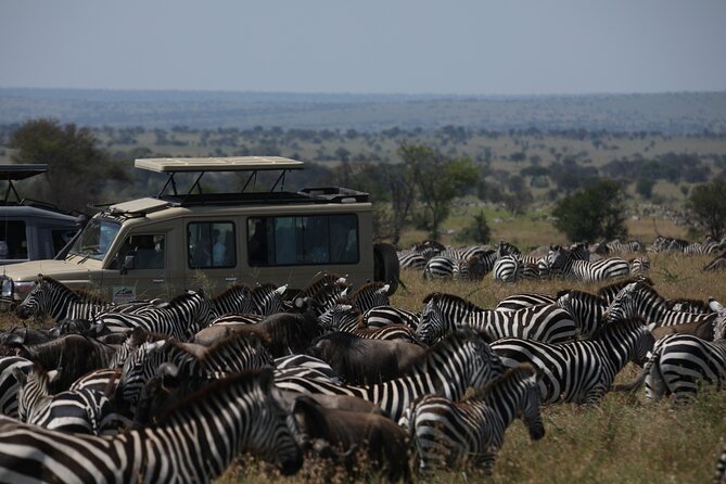 7 Days Private Serengeti Wildebeest Migration Tour - Serengeti National Park on Day 3: ecosystems, Big Five chances, and an afternoon start