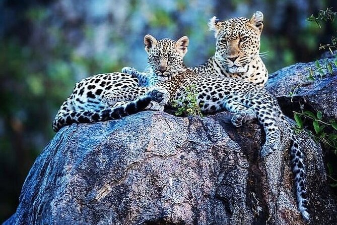 7 Days Rhino Ngorongoro Crater Safari Tour - Price and logistics: what $3,200 covers, and what to budget for