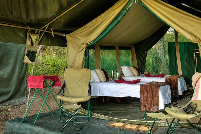 7 Days Safari. Serengeti, Tarangire, Lake Manyara & Ngorongoro Crater. - Day 1 Tarangire National Park, elephants and baobabs along the river
