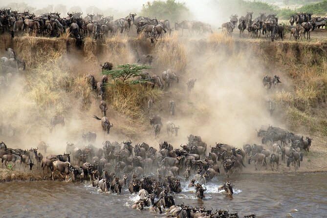 7 days safaris to see great migration - Ngorongoro Crater Rim: the classic finale with an early start