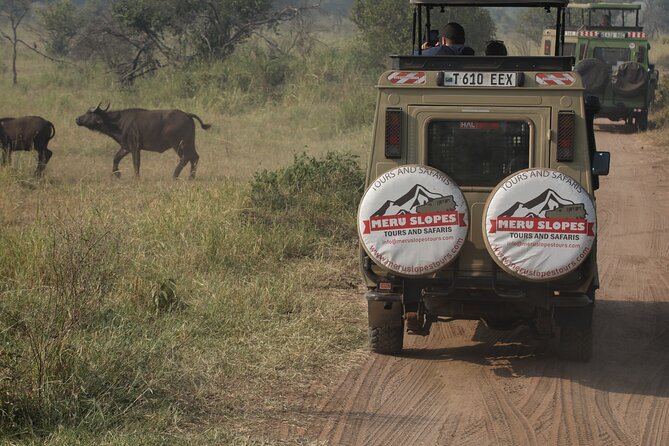 7 Days Serena Experience to Serengeti Great Migration - Tarangire National Park: Elephants, Baobabs, and River-Water Energy