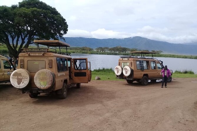 7 Days Tanzania Mid-range lodge safari - Wildlife spotting odds: what this setup does well