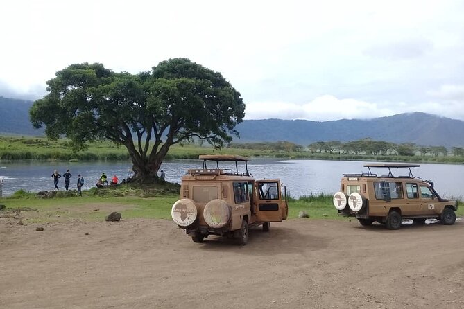 7 Days Tanzania Mid-range lodge safari - Ngorongoro Conservation Area, from farming routes to rainforest rim views