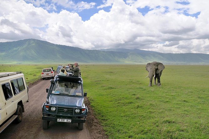 7 Days Tarangire, Serengeti, Ngorongoro & Manyara Camping Safari Tour Tanzania - Serengeti Central Area Nights: Big Cats Have the Advantage
