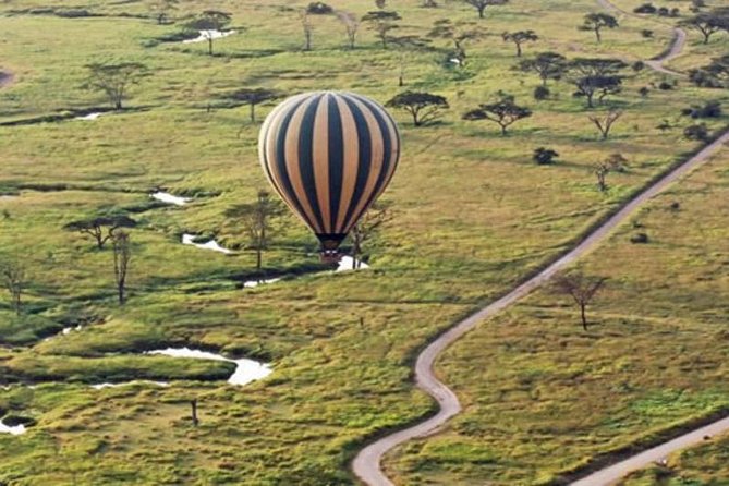 7Day Serengeti Migration (Ndutu), Crater, Hot Springs & City Tour - Tarangire National Park: elephants, baobabs, and birds you can name