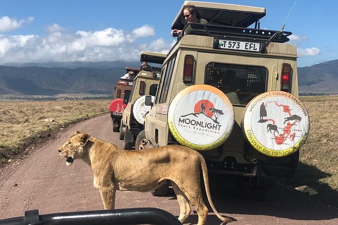 7Day Serengeti Migration (Ndutu), Crater, Hot Springs & City Tour - Full-day Serengeti drive in Ndutu: calving season, crossings, and picnic time