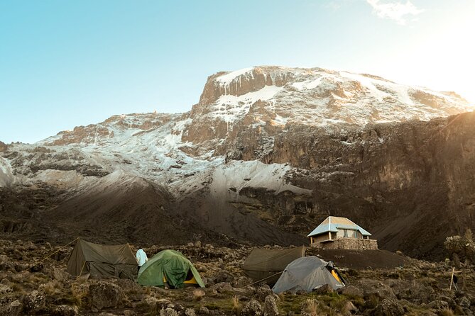 8 Day Climbing Kilimanjaro Via Lemosho Route - Day 1: Londorossi Gate to Forest Camp, Rainforest Legs and Wildlife Chances