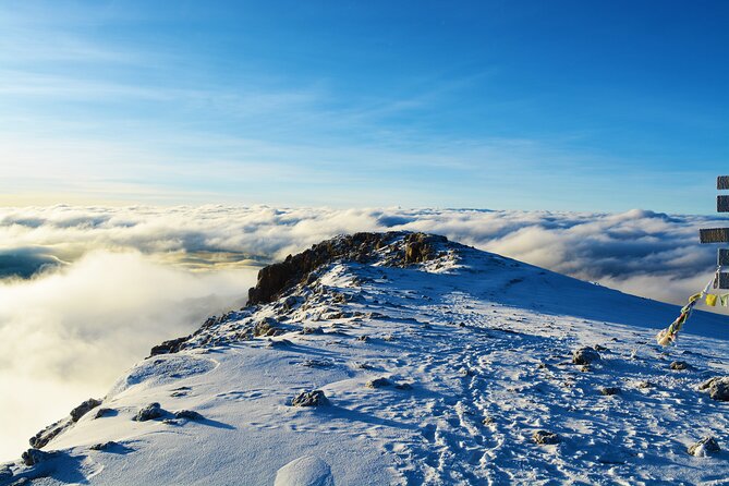 8 Day Climbing Kilimanjaro Via Lemosho Route - Day 7: Midnight Summit Push, Stella Point Sunrise, and Uhuru Peak