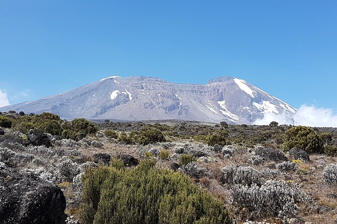 8 Day Kilimanjaro Lemosho Climb - Day 4, Lava Tower acclimatization and the descent into Barranco Valley