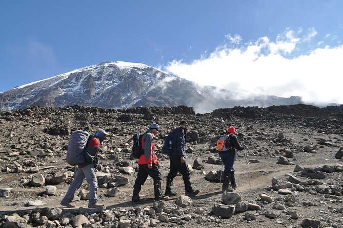 8 Day Kilimanjaro Lemosho Climb - Day 5, the Barranco wall scramble to Karanga Valley, last water point