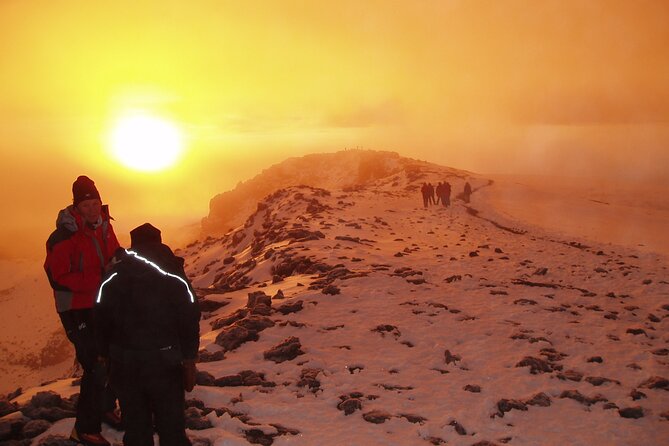 8 Day Kilimanjaro Lemosho Climb - Day 6, alpine desert to summit camp, pacing for the midnight start