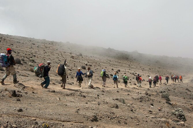 8 Day Kilimanjaro Lemosho Climb - Day 1, Moshi to Lemosho gate and the forest start with slippery surprises
