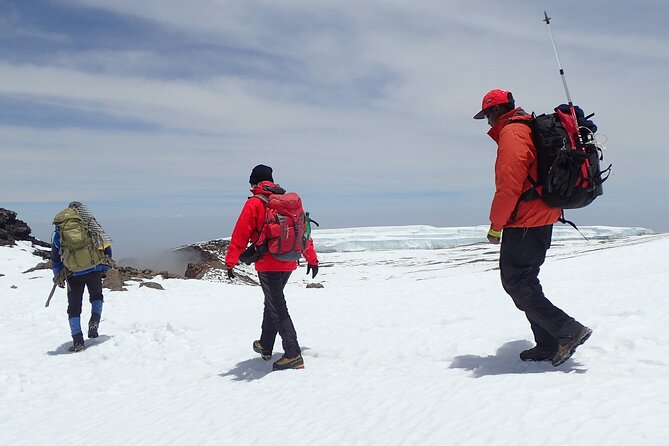 8 Day Kilimanjaro Private Climb via Lemosho Route - Day 3 to Shira 2: Heather Moorland, Streams, and Cold Nights