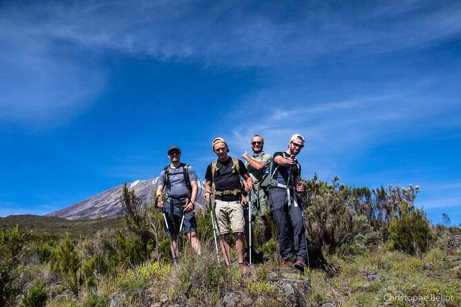 8 Day Kilimanjaro Private Climb via Lemosho Route - Midnight to Stella Point and Uhuru Peak: The Big Climb on Day 7