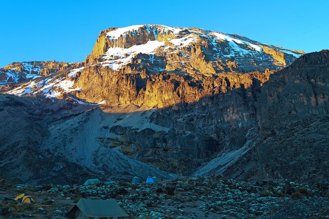 8 Day Kilimanjaro Trek via Lemosho Route - Lava Tower to Barranco: the acclimatization day you can’t rush