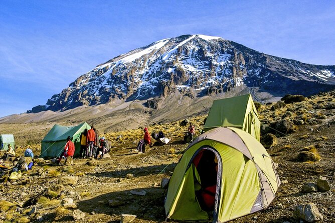 8 Day Mount Kilimanjaro Trekking Lemosho Route - Why this 8-day Lemosho climb works for altitude